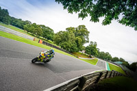 anglesey;brands-hatch;cadwell-park;croft;donington-park;enduro-digital-images;event-digital-images;eventdigitalimages;mallory;no-limits;oulton-park;peter-wileman-photography;racing-digital-images;silverstone;snetterton;trackday-digital-images;trackday-photos;vmcc-banbury-run;welsh-2-day-enduro